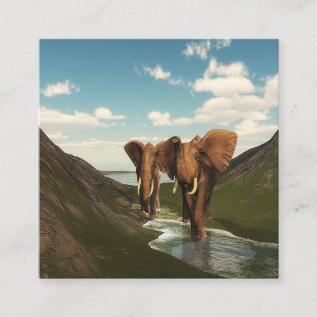 Tarjeta De Visita Cuadrada Elefante (Anverso)
