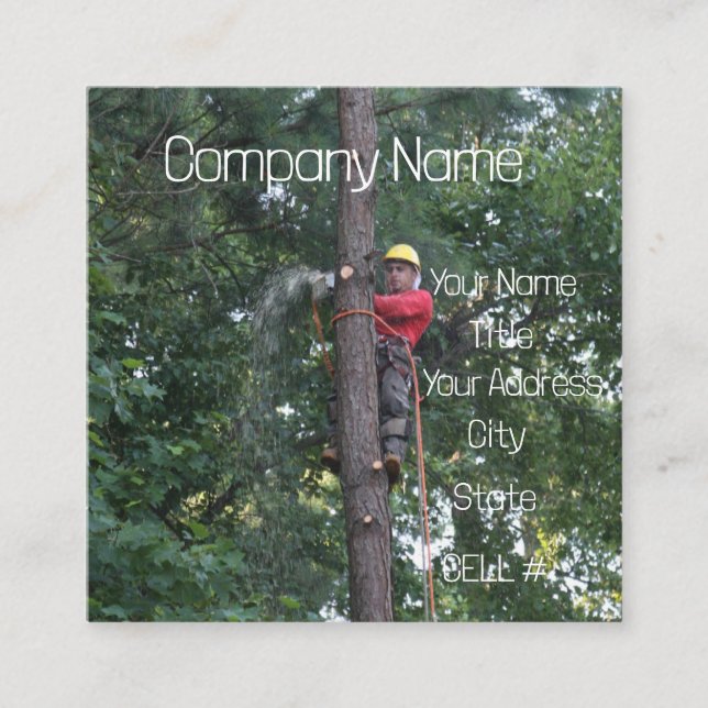 Tarjeta De Visita Cuadrada Empresa de servicios de árbol (Anverso)