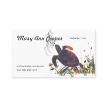 En la tortuga exótica moderna de la acuarela