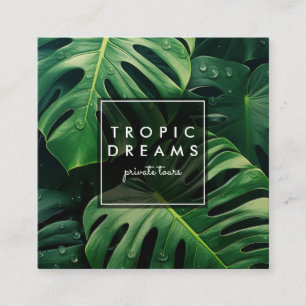 Tarjeta De Visita Cuadrada Enorme fotografía de jardín botánico de hojas de M