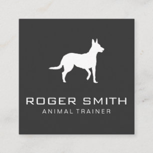 Tarjeta De Visita Cuadrada Entrenador de animales (gris)