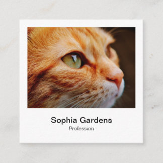Tarjeta De Visita Cuadrada Estilo de foto instantáneo - Ginger Cat