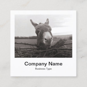 Tarjeta De Visita Cuadrada Estilo fotográfico instantáneo - Compañía - Burro