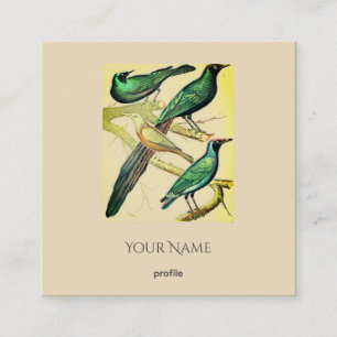 Tarjeta De Visita Cuadrada estorninos vintage y aves mynah Kraft