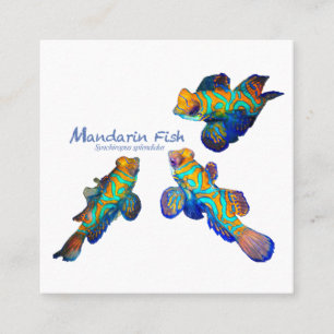 Tarjeta De Visita Cuadrada Fiesta de Peces Mandarin