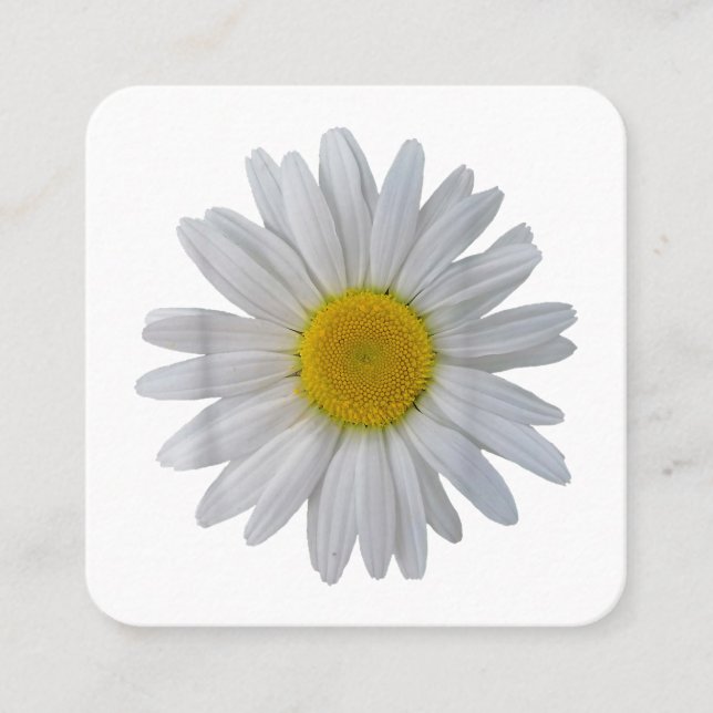 Tarjeta De Visita Cuadrada Flor de margarita blanca, margarita floreciente, f (Anverso)