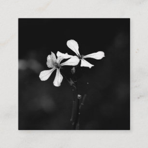 Tarjeta De Visita Cuadrada floral blanca y negra mínima