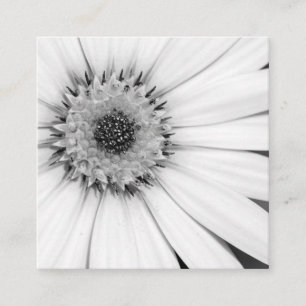 Tarjeta De Visita Cuadrada Floral monocroma de margarita africana