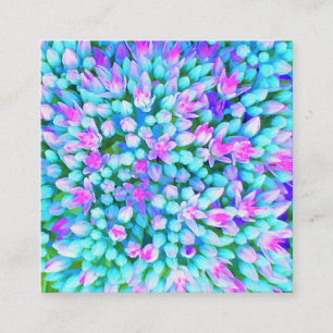 Tarjeta De Visita Cuadrada Flores de Sedum Suculentas Azul y Rosa Caliente De