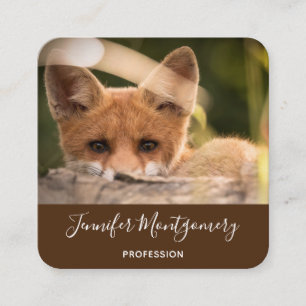 Tarjeta De Visita Cuadrada Foto de un Pequeño Naranja Fox