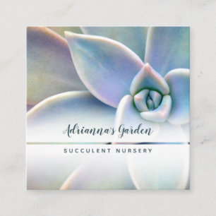 Tarjeta De Visita Cuadrada Foto suculenta mínima moderna del cuarto de niño