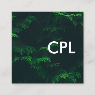 Tarjeta De Visita Cuadrada Fotografía de la naturaleza