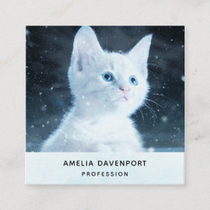 Tarjeta De Visita Cuadrada Gatito blanco lindo con ojos azules bonitos
