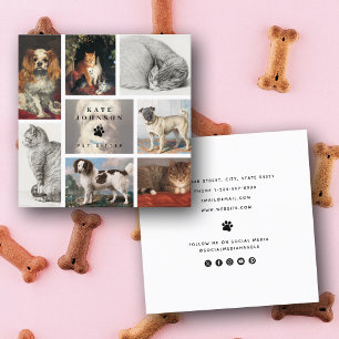 Tarjeta De Visita Cuadrada Gato de perro Mascotas 8 Mascota de fotografía Gro