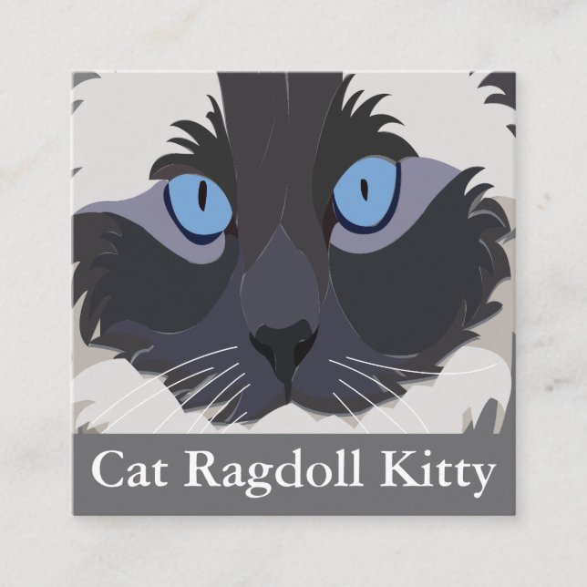 Tarjeta De Visita Cuadrada Gato Ragdoll Ojos Azules  (Anverso)