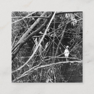 Tarjeta De Visita Cuadrada george del lago