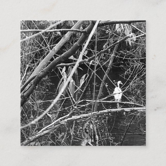 Tarjeta De Visita Cuadrada george del lago (Anverso)