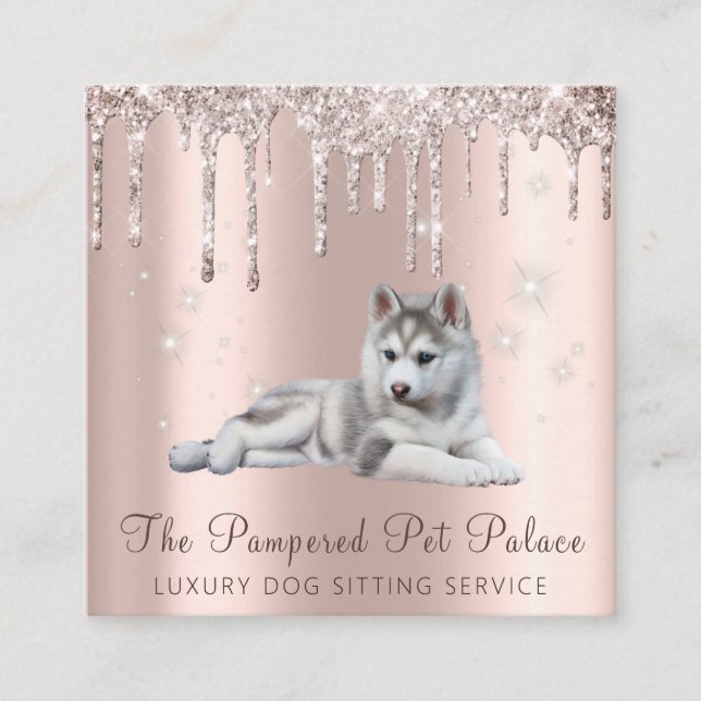 Tarjeta De Visita Cuadrada Glam Gold Rosa Purpurina Dris Sentado Mascota de g (Anverso)