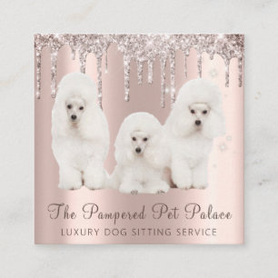 Tarjeta De Visita Cuadrada Glam Gold Rosa Purpurina goteo Mascota de canapé