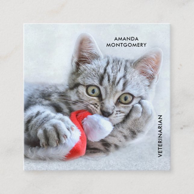 Tarjeta De Visita Cuadrada Gris lindo Navidades gatos Gorras Navidad (Anverso)