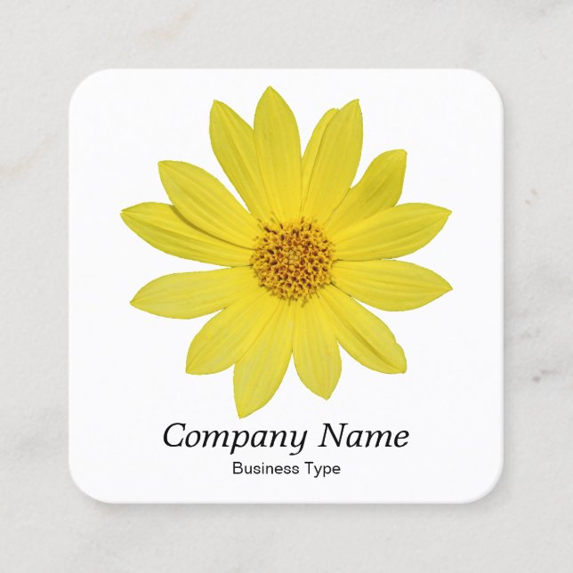 Tarjeta De Visita Cuadrada Helianthus 'Lemon Queen' Sunflower - Blanco (Anverso)