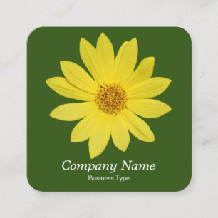 Tarjeta De Visita Cuadrada Helianthus 'Lemon Queen' Sunflower - Forest Green