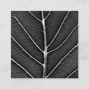 Tarjeta De Visita Cuadrada Hoja brillante en blanco y negro en primer plano