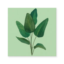 Hojas tropicales