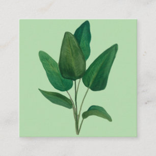 Tarjeta De Visita Cuadrada Hojas tropicales