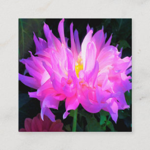 Tarjeta De Visita Cuadrada Impresionante Cactus Dahlia Rosa y Purpura