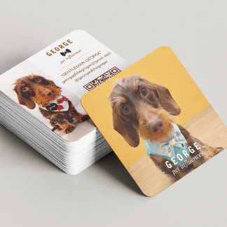 Tarjeta De Visita Cuadrada Influencer de Mascotas Moderno Código QR Escaneabl