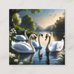 Tarjeta De Visita Cuadrada Los elegantes cisnes blancos son una visión famili