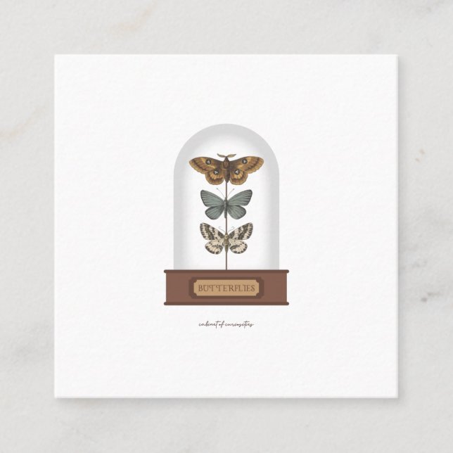 Tarjeta De Visita Cuadrada Mariposas con polillas en cúpula de cristal (Anverso)