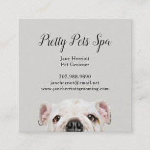 Tarjeta De Visita Cuadrada Mascota Grooming