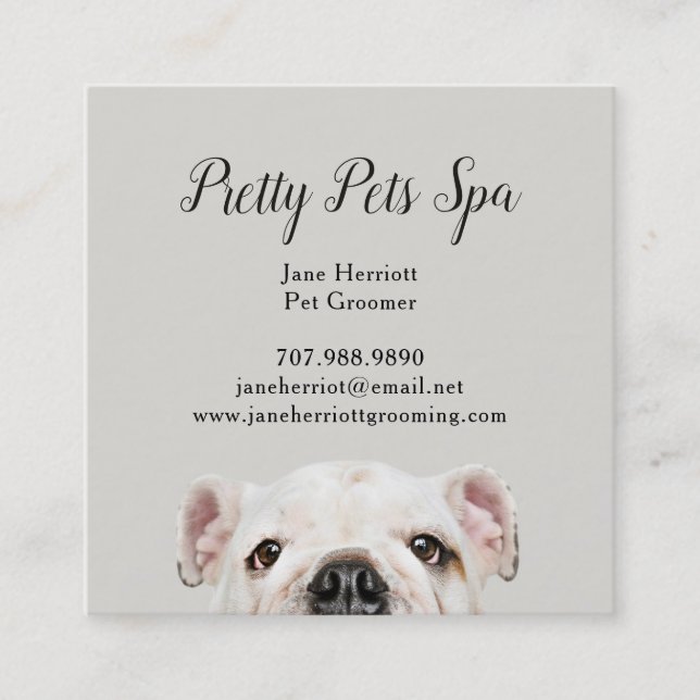 Tarjeta De Visita Cuadrada Mascota Grooming (Anverso)