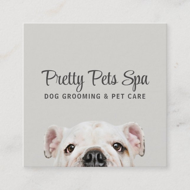 Tarjeta De Visita Cuadrada Mascota Grooming Sitter Dog Spa Square Business Ca (Anverso)