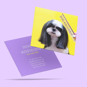 Tarjeta De Visita Cuadrada Mascotas curados Crecer Servicios de Atención Médi