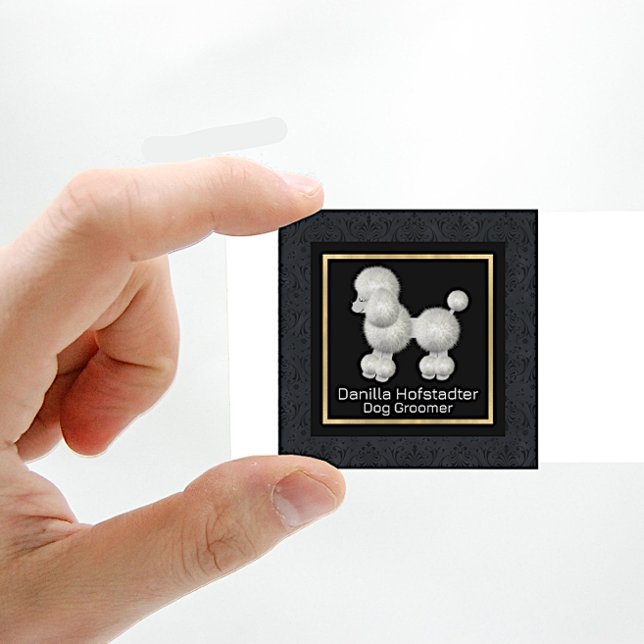 Tarjeta De Visita Cuadrada Moda Damask Dog Groomer (Subido por el creador)