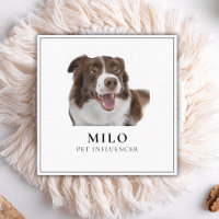 Moderno y elegante Mascota de fotografía de medios