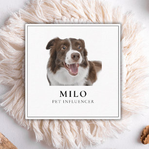Tarjeta De Visita Cuadrada Moderno y elegante Mascota de fotografía de medios
