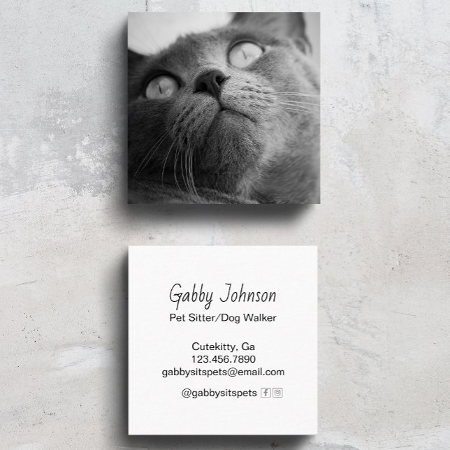 Tarjeta De Visita Cuadrada Moderno y simple Mascota Sitter Dog Walker (Subido por el creador)