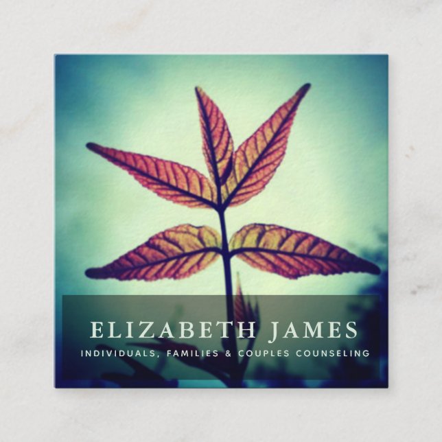 Tarjeta De Visita Cuadrada Naturaleza de la hoja de estrellas del Naranja azu (Anverso)