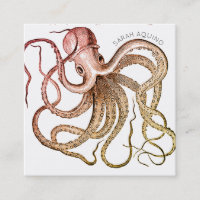Octopus audaz con tipografía curva