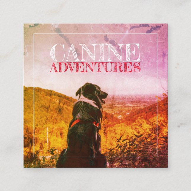 Tarjeta De Visita Cuadrada Paseo De Perros Y Aventuras De Perros Con Tejido (Anverso)
