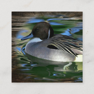 Tarjeta De Visita Cuadrada Pato En El Lago