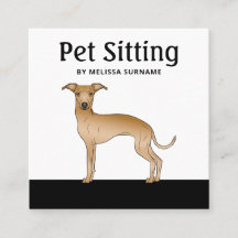 Perro Galgo Italiano Cervato - Servicios de Cuidad