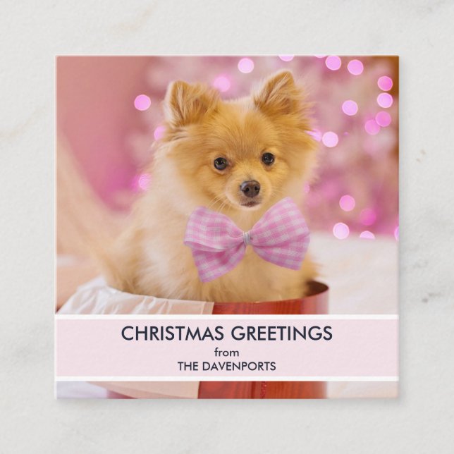 Tarjeta De Visita Cuadrada Perro lindo con foto de Navidades de oso rosado (Anverso)