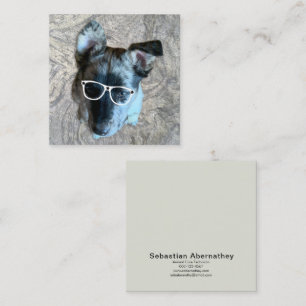 Tarjeta De Visita Cuadrada Personalizado de la profesión de cuidado animal Añ