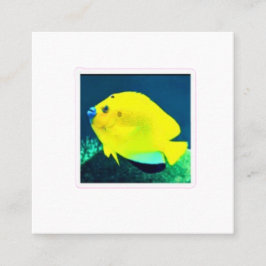 Tarjeta De Visita Cuadrada Pez ángel Exótico Threespot Flagfin - Trop vibrant