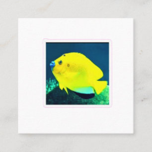 Tarjeta De Visita Cuadrada Pez ángel Exótico Threespot Flagfin - Trop vibrant